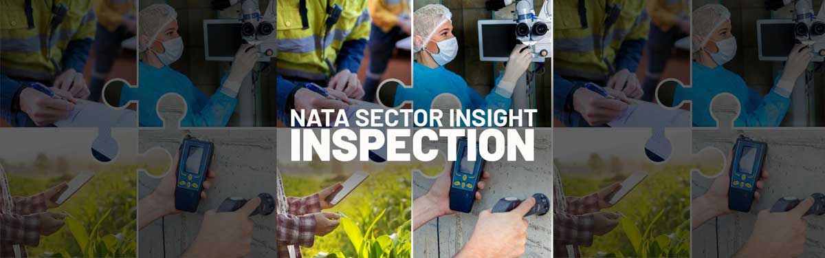 NATA’s Inspection Sector