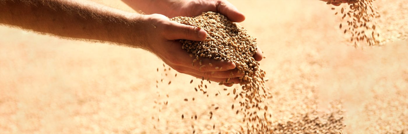 One Grain, Many Decisions: Why Grain Testing Matters